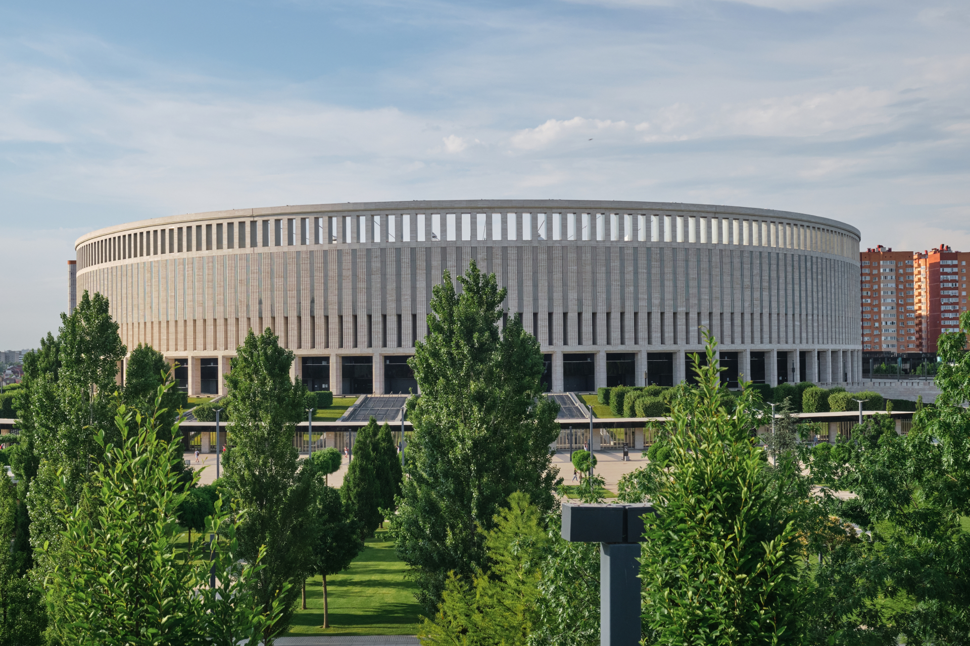 Деревья в парке