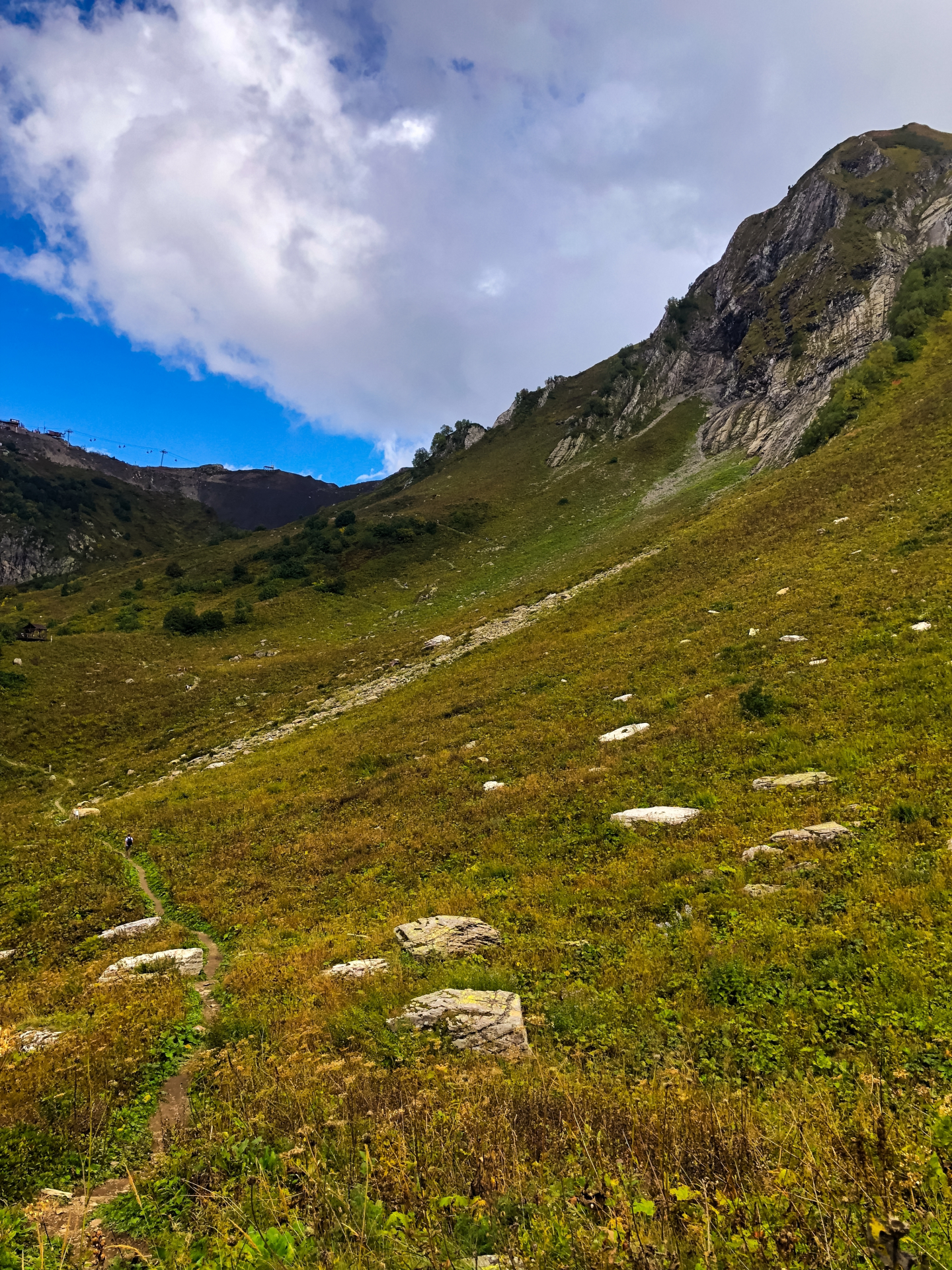 Экотропы