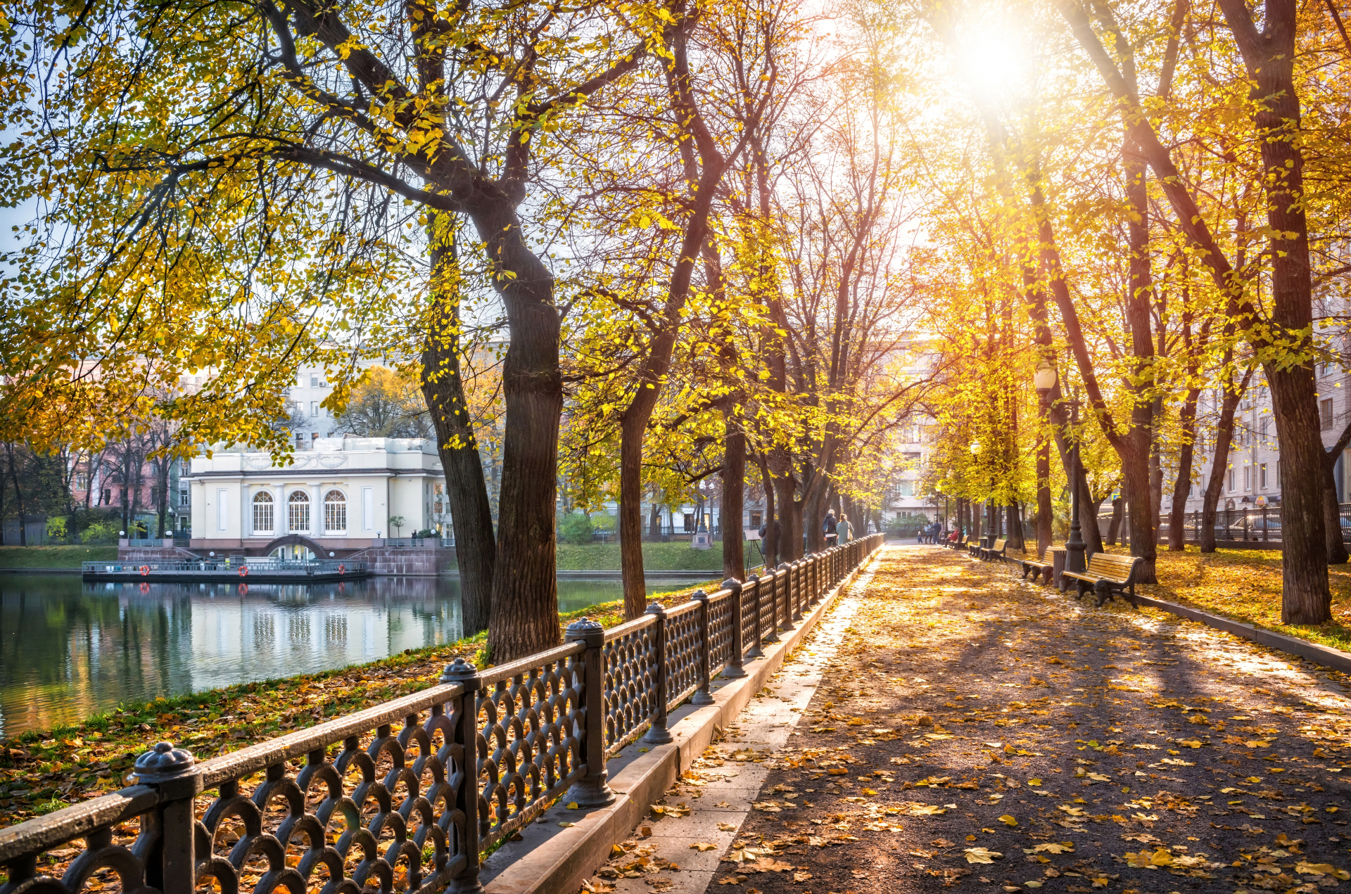 Патриаршие осенью
