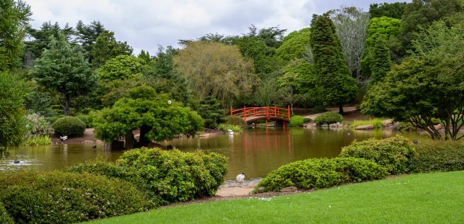 Natural attractions of Krasnodar and the region