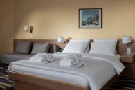 Superior room with a double bed and sofa bed: Photo 7
