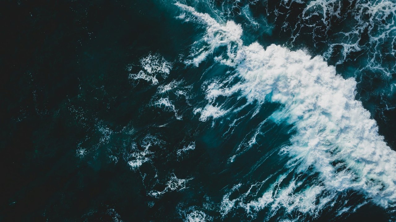 Novotel supports initiatives to protect the oceans