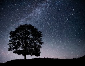 Where to see the starry sky in Russia: TOP 5 locations for astrophysics and observations