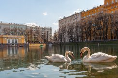 Патриаршие пруды: литературный квартал, кафе и тихие дворы