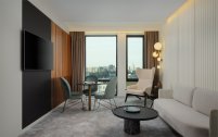 Deluxe Suite, with city view - with 1 double bed: Photo 8